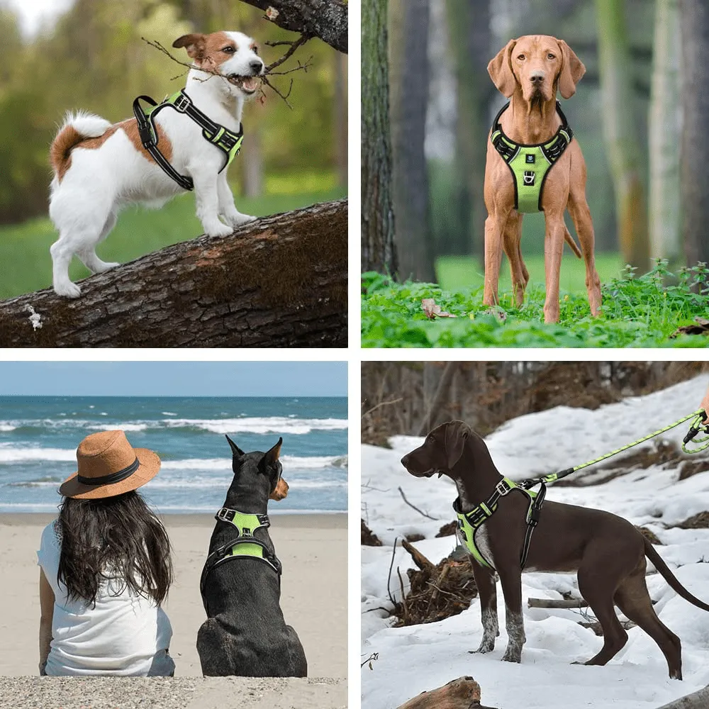 Hank 3M Reflective Harness for Puller Dogs (Neon Green)
